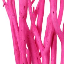 Rami decorativi Mitsumata 45-60cm rosa 12p