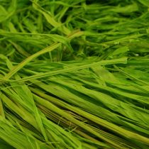Prodotto Rafia decorativa per realizzare rafia naturale rafia verde mela 200 g