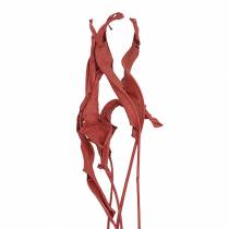 Foglie decorative Strelitzia rosso 85-105cm 10p