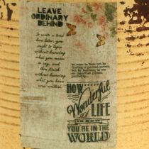 Prodotto Scatola decorativa albicocca vaso per piante in metallo decorazione estiva Ø15,5 cm H15 cm