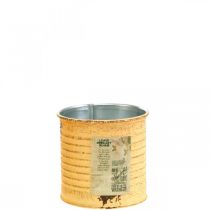 Prodotto Scatola decorativa estiva scatola di metallo albicocca vaso per piante Ø8cm H7.5cm