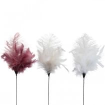 Piume decorative sul bastoncino piume di uccelli bianco/crema/rosa scuro 3 pezzi