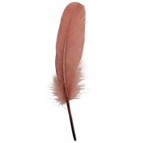 Prodotto Piume decorative per artigianato Piume di uccelli vere rosa scuro 20g