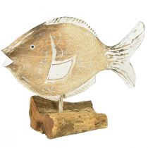 Prodotto Supporto decorativo in legno per pesci su radice decorazione marittima 27 cm