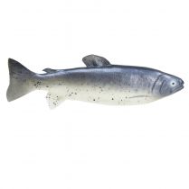Prodotto Mangime per pesci decorativo, manichino per pesci artificiali, 31 cm