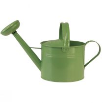 Annaffiatoio decorativo per piantare menta metallica H26cm 5L