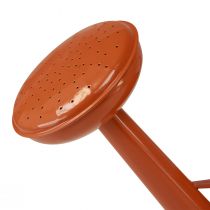 Prodotto Annaffiatoio decorativo in metallo in stile country, arancione-marrone, 26 cm, 5 l - Utilizzo versatile come fioriera e barattolo decorativo