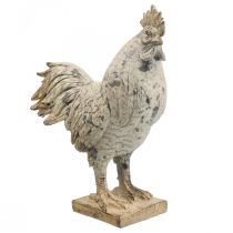 Gallo decorativo per giardino figura decorativa effetto pietra H26cm