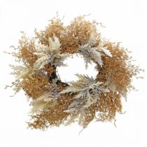 Corona decorativa erba di pampa artificiale crema, ghirlanda porta marrone Ø60cm