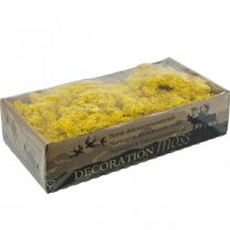 Prodotto Muschio di renna giallo muschio Deco per artigianato giallo limone 500 g