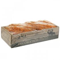Prodotto Muschio Decorativo Arancione Vero Muschio per L'artigianato Essiccato, Tinto 500g