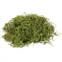 Prodotto Muschio decorativo essiccato muschio di bosco verde decorazione naturale 300g