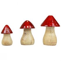 Funghi decorativi Funghi in legno rosso lucido decorazione autunnale H6/8/10 cm set da 3