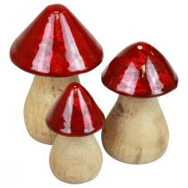 Prodotto Funghi decorativi Funghi in legno rosso lucido decorazione autunnale H6/8/10 cm set da 3