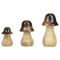 Funghi decorativi Funghi in legno marrone effetto lucido decorazione autunnale H6/8/10cm