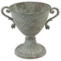 Trofeo decorativo con manico in metallo marrone bianco Ø15cm H19,5cm