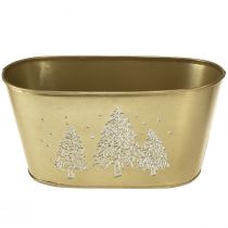 Prodotto Ciotola decorativa ovale per fioriera per albero di Natale dorata 24×13×12,5 cm