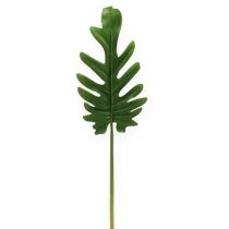 Lenzuola decorative Philodendron verde B11cm L34cm 6 pezzi