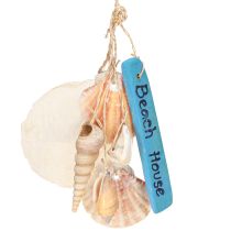 Prodotto Appendiabiti decorativo Beach House Blue Capiz tower chiocciola H25cm
