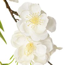 Prodotto Gancio decorativo ghirlanda di fiori artificiali di fiori di ciliegio bianco 170 cm