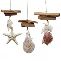 Appendiabiti decorativo marittimo decorazione da appendere conchiglie stelle marine 27 cm 3 pezzi