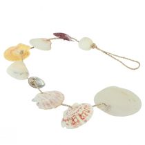 Prodotto Appendino decorativo decorazione conchiglia marittima naturale Ø5–10cm 70cm