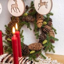 Ghirlanda decorativa abete con pigne verde Ø25cm