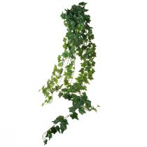 Prodotto Tralcio di edera artificiale decorativa per interni naturali 183 cm