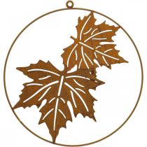 Decoro anello foglia patina metallo anello decorazione ruggine decorazione murale Ø30cm