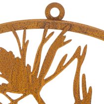 Prodotto Anello decorativo in metallo, decorazione da parete in acciaio effetto invecchiato, ramo di pino, Ø38cm