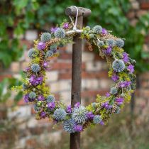 Anello decorativo da appendere, decorazione finestra, decorazione parete colori naturali Ø30cm 4pz