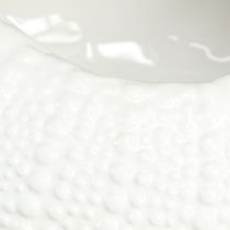 Prodotto Ciotola decorativa in ceramica marittima ovale in bianco 19x15x8,5 cm