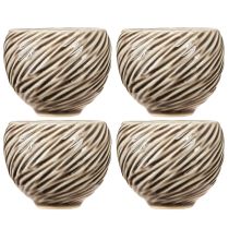 Prodotto Ciotola decorativa in ceramica a spirale Decor Beige Marrone Ø9cm 4pz