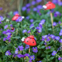 Prodotto Tappi decorativi coccinella su bastoncino legno rosso, nero 4cm x 2,5cm H23,5cm 16 pezzi