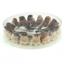 Prodotto Uccelli decorativi 9 cm su filo 16 pz