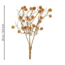 Prodotto Ramo decorativo di liquidambar, frutti dell'albero, marrone ocra decorativo, 48 cm