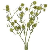 Prodotto Ramo decorativo di liquidambar, frutti verde chiaro 48 cm
