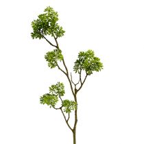 Deco ramo verde 80 cm