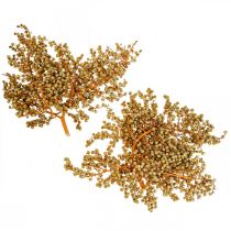 Deco rami bacche di canapa essiccate palma palma uva natura 1kg
