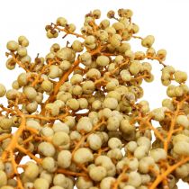 Deco rami bacche di canapa essiccate palma palma uva natura 1kg