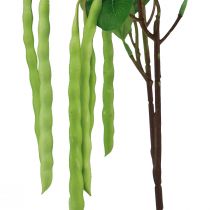Prodotto Ramo decorativo ramo di fagiolo pianta artificiale verde 68 cm