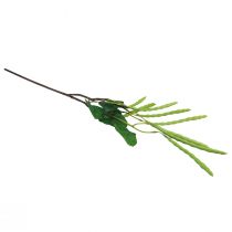 Prodotto Ramo decorativo ramo di fagiolo pianta artificiale verde 68 cm