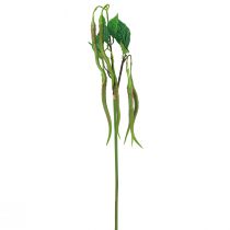 Prodotto Ramo decorativo ramo di peperoncino pianta artificiale peperoni verde rosso 78 cm