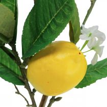 Ramo di limone decorativo con fiori e frutti H68cm