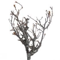 Prodotto Rami decorativi rami decorativi in legno bonsai 15-30cm 650g