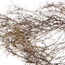 Prodotto Rami decorativi Rami di cespuglio di ferro decorazione naturale legno natura 250g