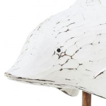 Prodotto Decoro delfino Albasia Maritime decoro in legno bianco 28×6,5×26 cm