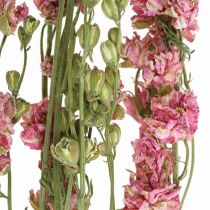 Delphinium di fiori secchi, rosa delphinium, fiori secchi L64cm 25g