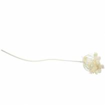 Prodotto Dill bianco nevicato 117 cm