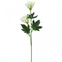Prodotto Aneto in fiore, erbe artificiali, pianta decorativa verde, bianco 49 cm 9 pezzi